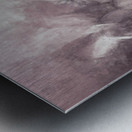 Fibonacci flowers in energy manipulation calculus Metal print