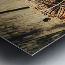 Manipulating the Trojans  Metal print