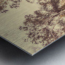 Old Woodery Metal print