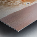 Guards of tradition Metal print