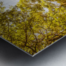 Queensland Wy. Metal print