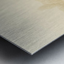 Icy cold foggy woodland Metal print