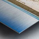 Spectacular Stanley Metal print