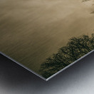 Twists and turns Metal print