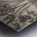 Calming country Metal print