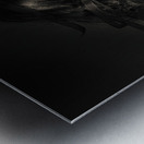 Beauty queen clothing designer. Fine art fashion Metal print