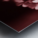 Clover Flower Metal print