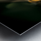 Leaf Bites Metal print