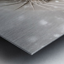 Dark vampire in a forsaken winter wonderland Metal print