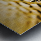 The Roman Pavement Metal print