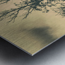 Wild Australian scrublands Metal print