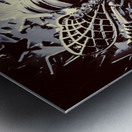 Star bee Metal print