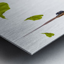 Glamorous woman gardening Metal print