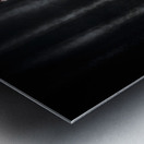 Spiritual journey of the dearly departed Metal print