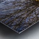 The way to Swansea Metal print