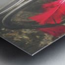 Soldiers of the fallen Metal print