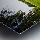 Golf Course Landscape Panorama Metal print