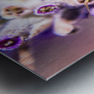 Jumping Spider Metal print