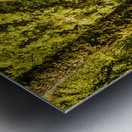 Philosopher Falls Western Tasmania Metal print