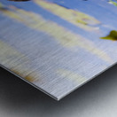 Pond Duck Metal print