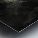 Biohazard death and destruction Metal print