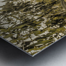 Reflective rivers Metal print