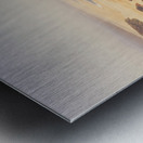 Trial Harbour to Ocean Beach Metal print