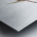 The Great Romanticism Metal print