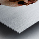 Heads Of Decay Metal print