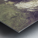 Imaginations wild Metal print