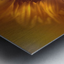 Flower flare Metal print