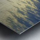 Edge of the wild Metal print