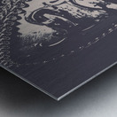 Midnight frill Metal print