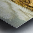 Rugged Australian pastures Metal print