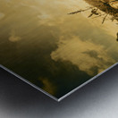 Zeehan Tasmania Outback Bridge Metal print