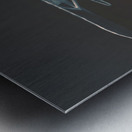 Tin wings Metal print