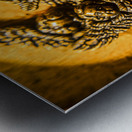 Circle of guardian angel elders Metal print