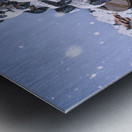 Panda frosts Metal print