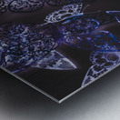 Dance of twilight Metal print