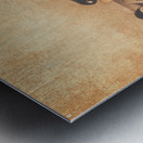 A vintage gamer dreams Metal print