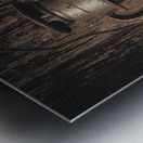 Barn songs Metal print