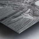 Banjos boom sticks and bones Metal print