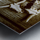 Playing up a country scene Metal print