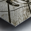 Sounds of country Metal print