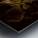 Burlap and feather Metal print