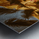 A crow too far Metal print