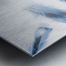 Light as Metal print