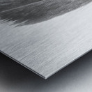 Pencil plume Metal print