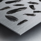 Light and dark Metal print