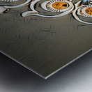 Kooky owls Metal print